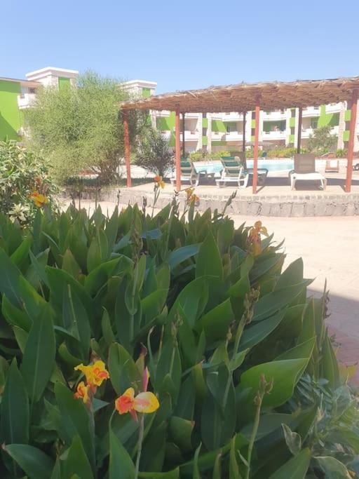 Holiday Properties Moradias Green Santa Maria Exterior foto