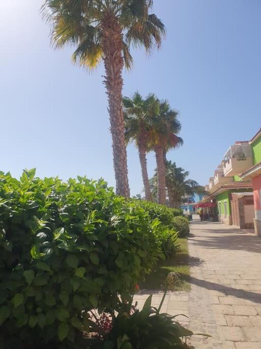Holiday Properties Moradias Green Santa Maria Exterior foto